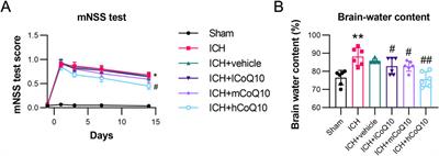 Coenzyme Q10 alleviates neurological deficits in a mouse model of intracerebral hemorrhage by reducing inflammation and apoptosis